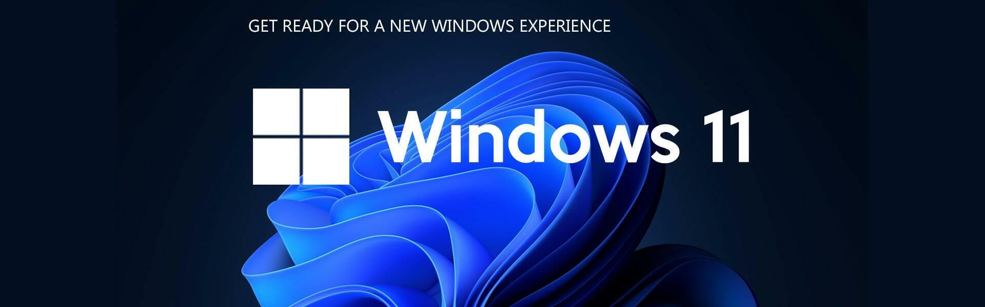 Microsoft Windows 11